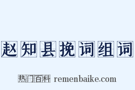 赵知县挽词组词是什么意思的图片